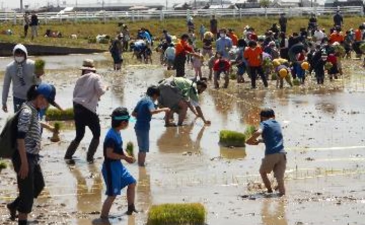 ５月初旬の田植えの様子