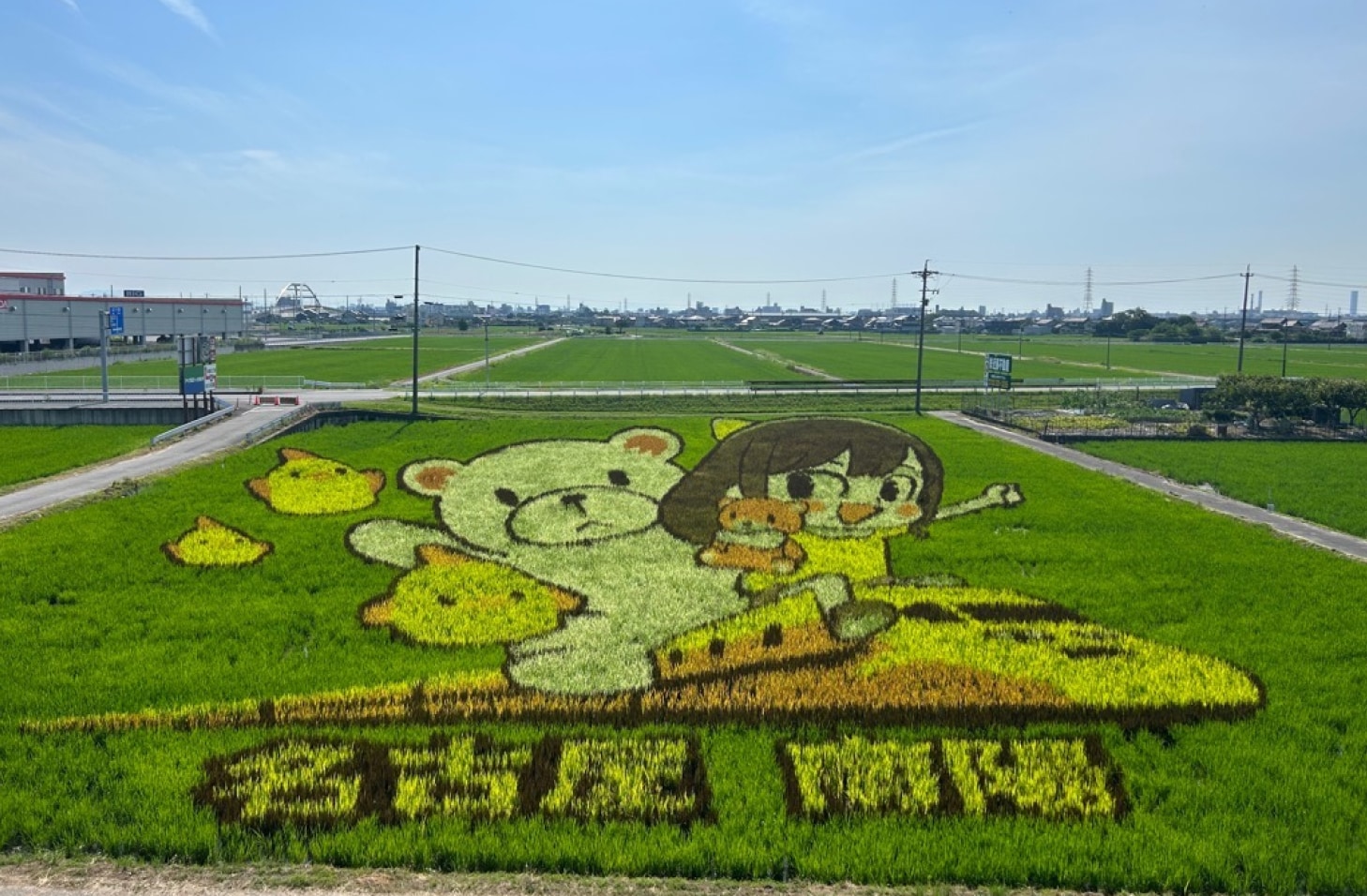 令和5年度の田んぼアートの写真