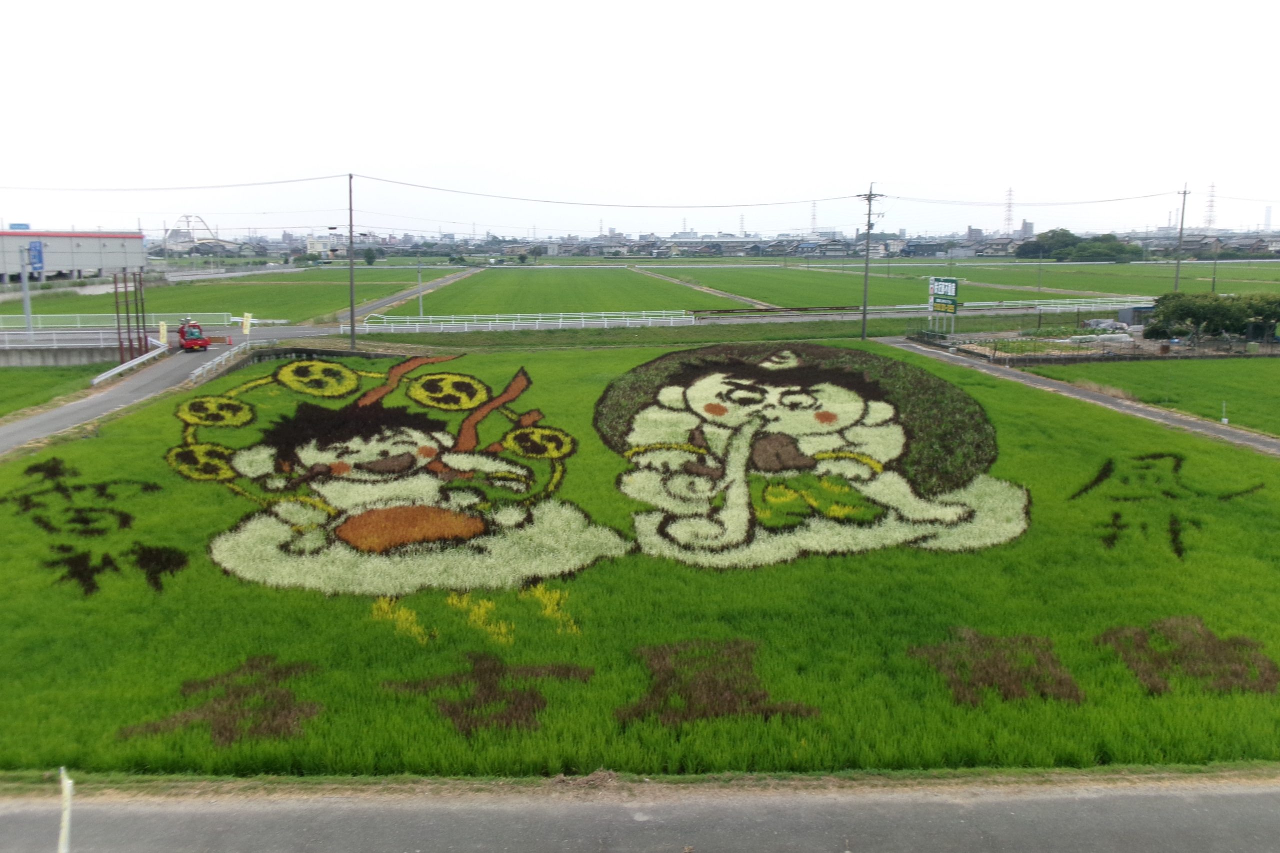 令和７年度の田んぼアートの写真